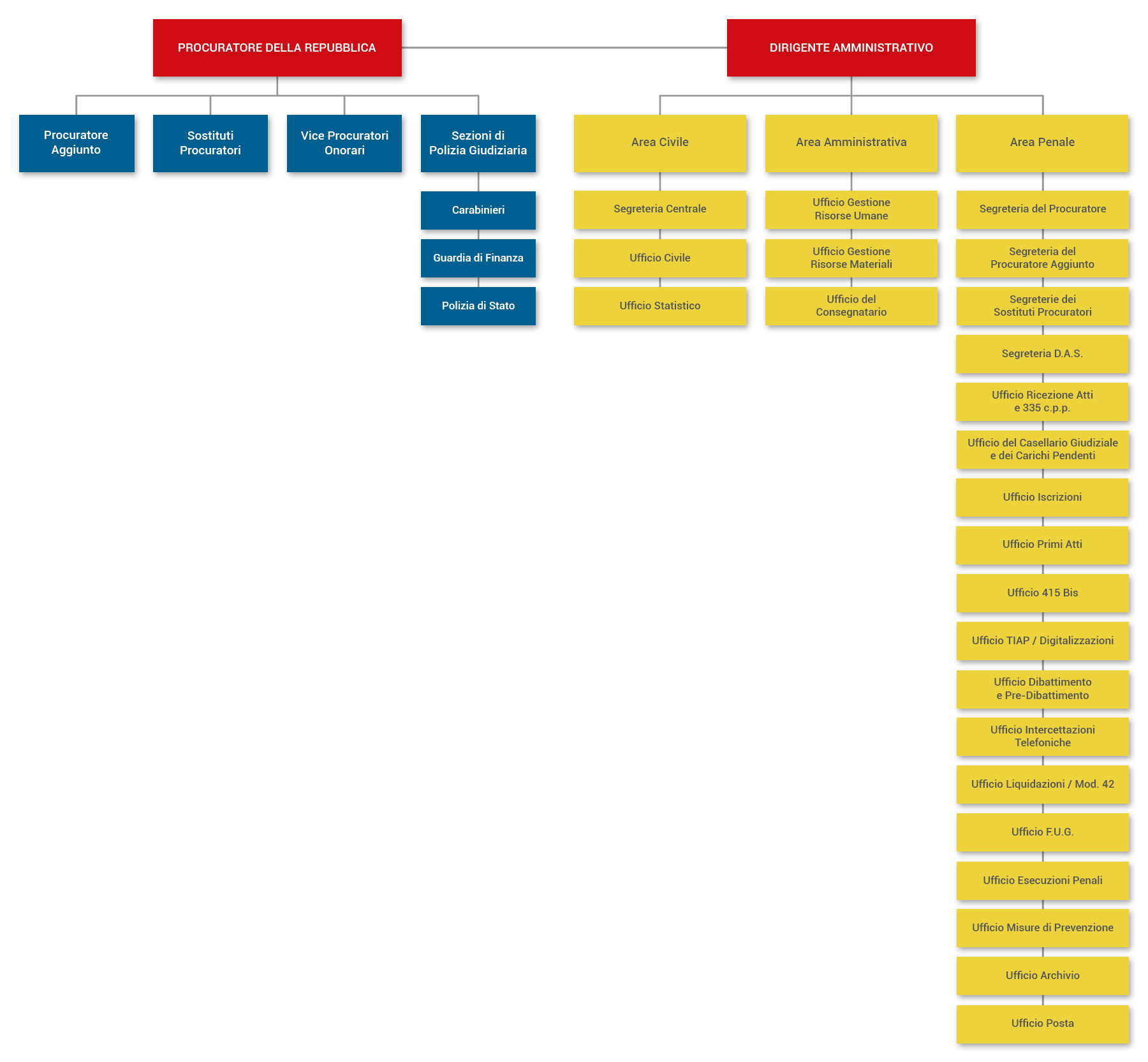 struttura organizzativa.png